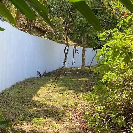 Villa Verde Luz: A Virgin Forest Yauco Exteriér fotografie