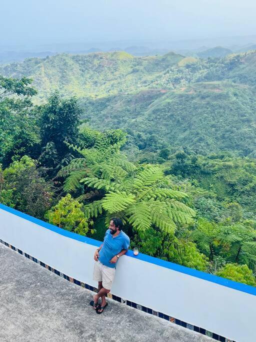 Villa Verde Luz: A Virgin Forest Yauco Exteriér fotografie