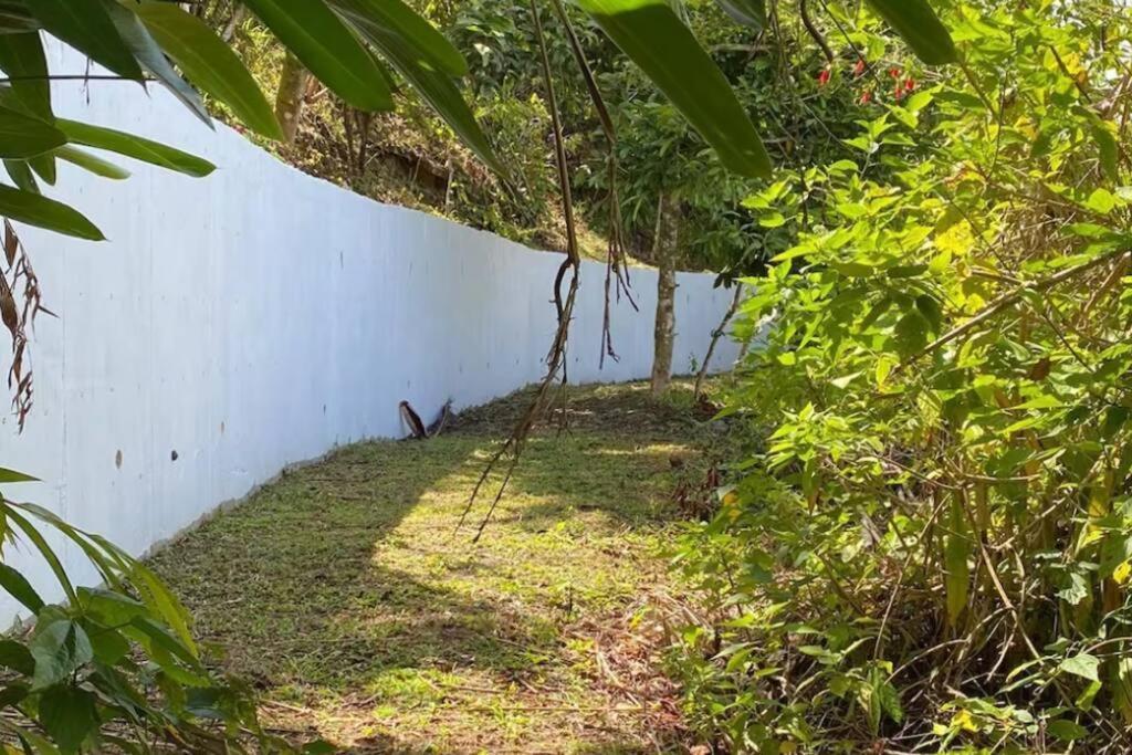 Villa Verde Luz: A Virgin Forest Yauco Exteriér fotografie