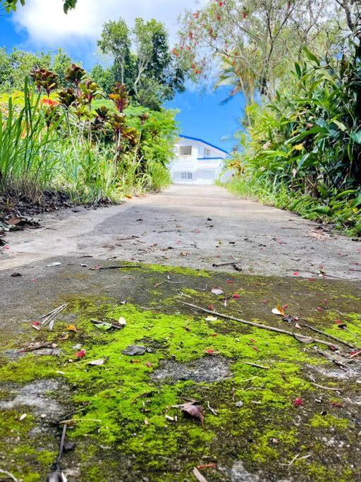 Villa Verde Luz: A Virgin Forest Yauco Exteriér fotografie