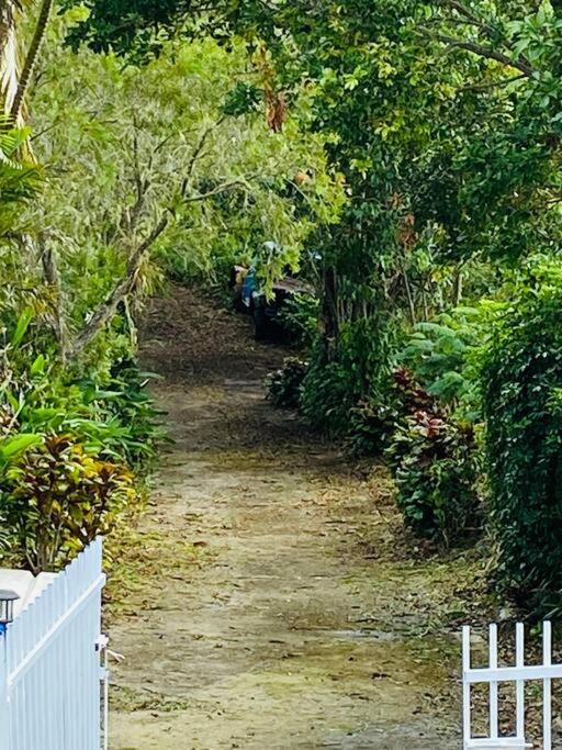 Villa Verde Luz: A Virgin Forest Yauco Exteriér fotografie