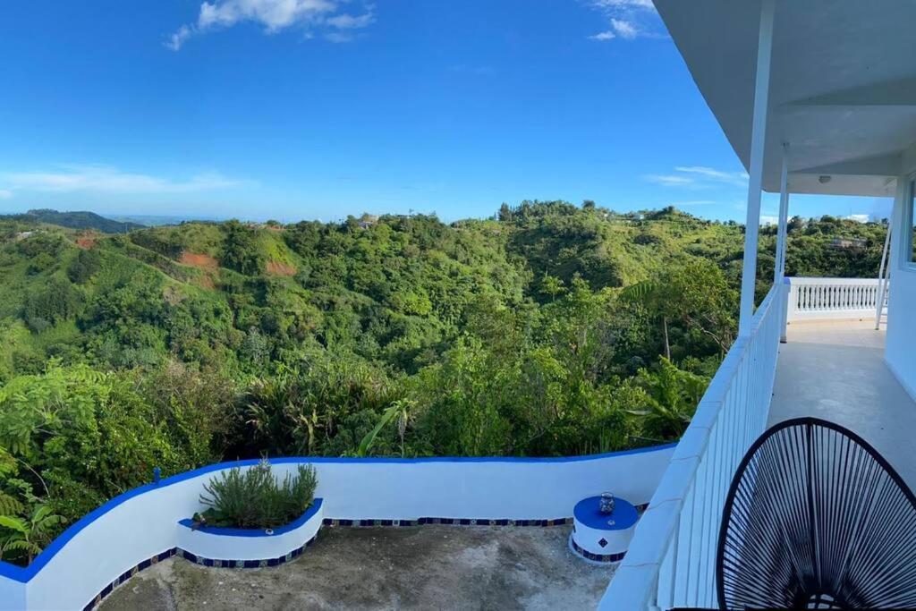 Villa Verde Luz: A Virgin Forest Yauco Exteriér fotografie