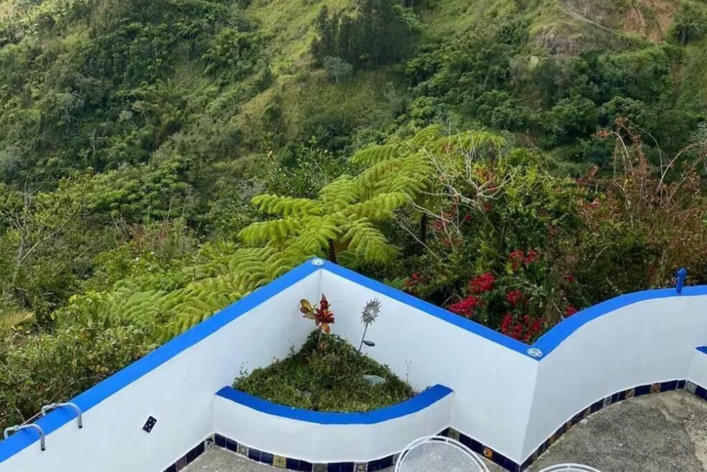 Villa Verde Luz: A Virgin Forest Yauco Exteriér fotografie