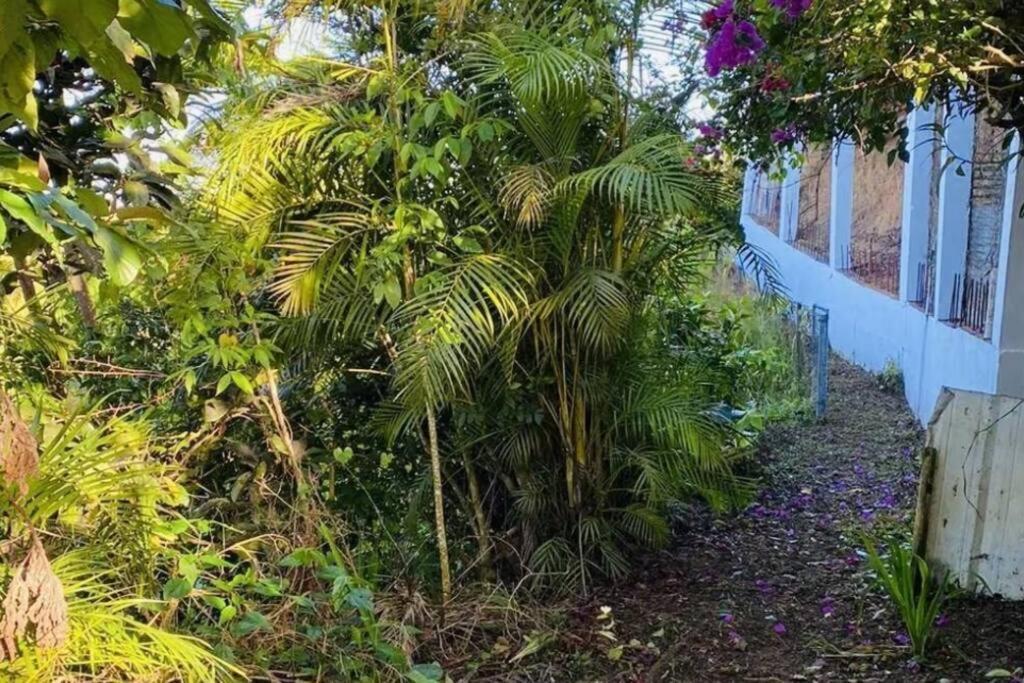 Villa Verde Luz: A Virgin Forest Yauco Exteriér fotografie