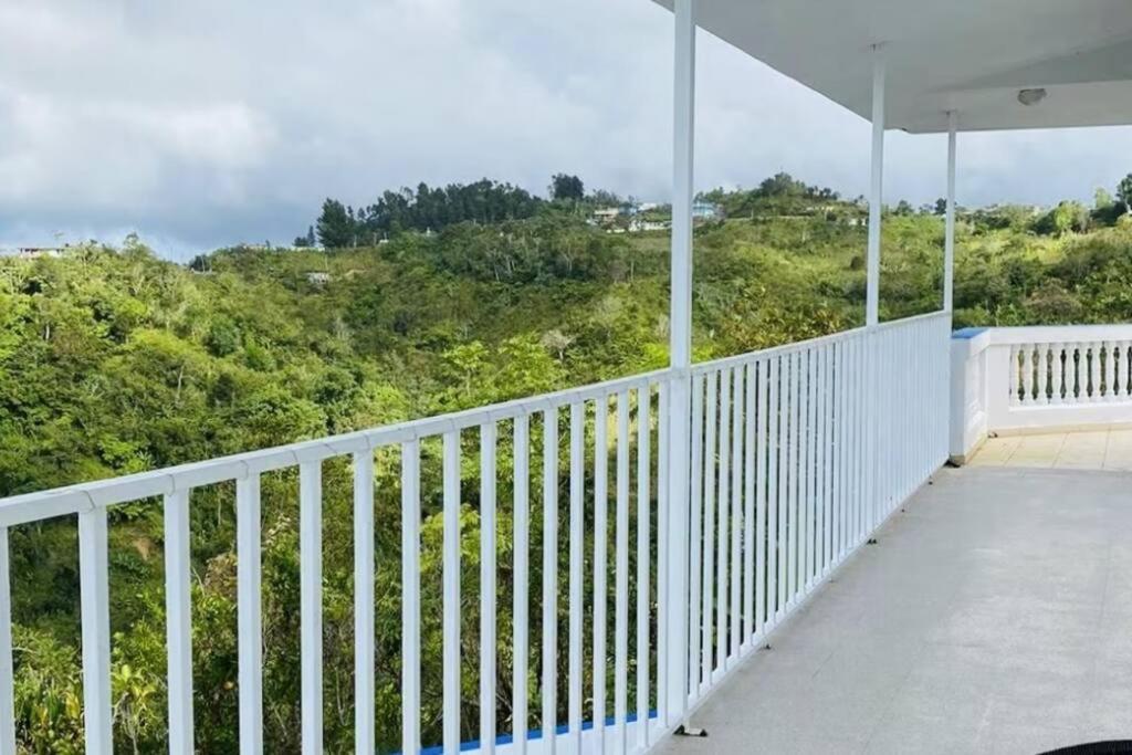 Villa Verde Luz: A Virgin Forest Yauco Exteriér fotografie